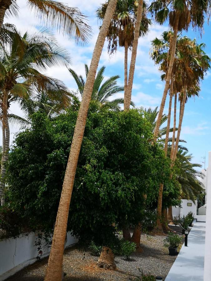 Estrella De Mar Apartment ตาราฮาเลโฮ ภายนอก รูปภาพ